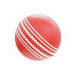 Cricket Ball